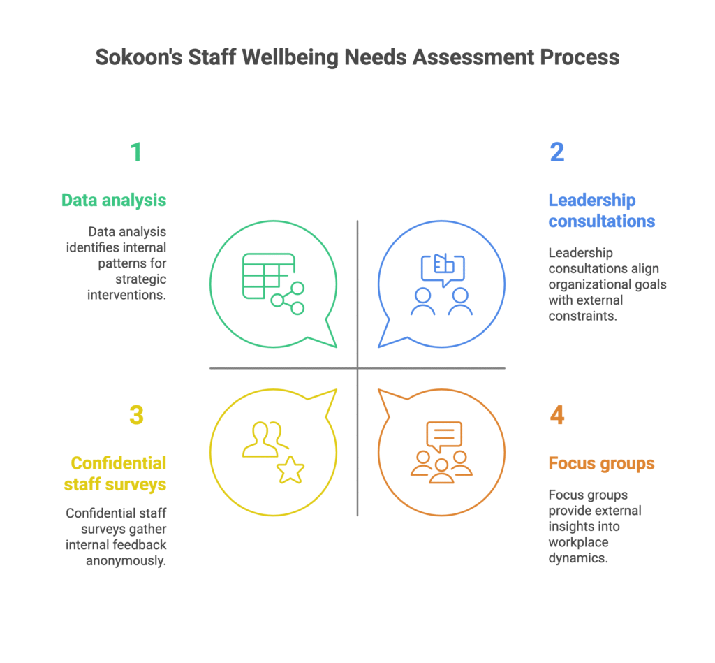 Sokoon’s Approach to Staff Wellbeing Needs Assessment Process - visual selection (2)